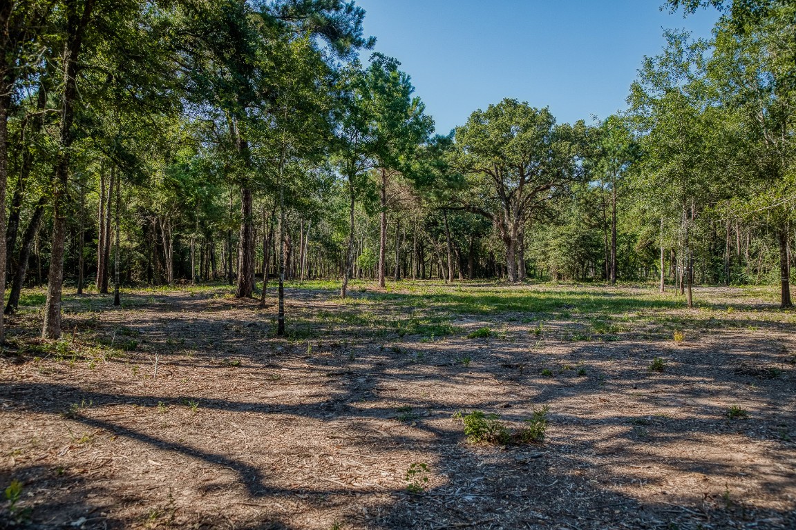 31801 Reids Prairie Road Waller, TX 77484 - Photo 4 of 11 a view of a park