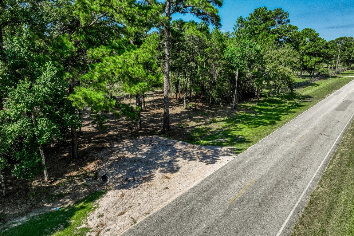 31801 Reids Prairie Road Waller, TX 77484 - Photo 8 of 11 a backyard of a house with lots of green space