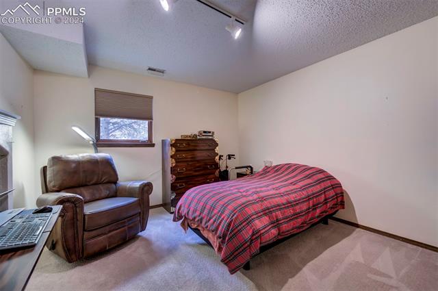 18255 Stoneview Road Monument, CO 80132 - Photo 32 of 42 One of two bedrooms downstairs