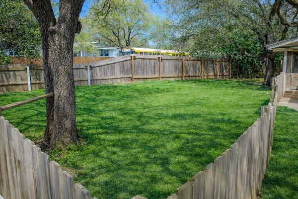 a view of a backyard with a large tree and wooden fence