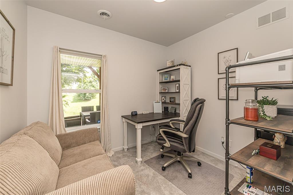 356 Carr Manor Court Ballwin, MO 63021 - Photo 29 of 38