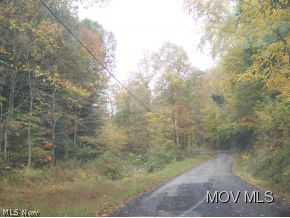 1336 Tanner Fork Road Shock, WV 26638 - Photo 13 of 14 County road to property