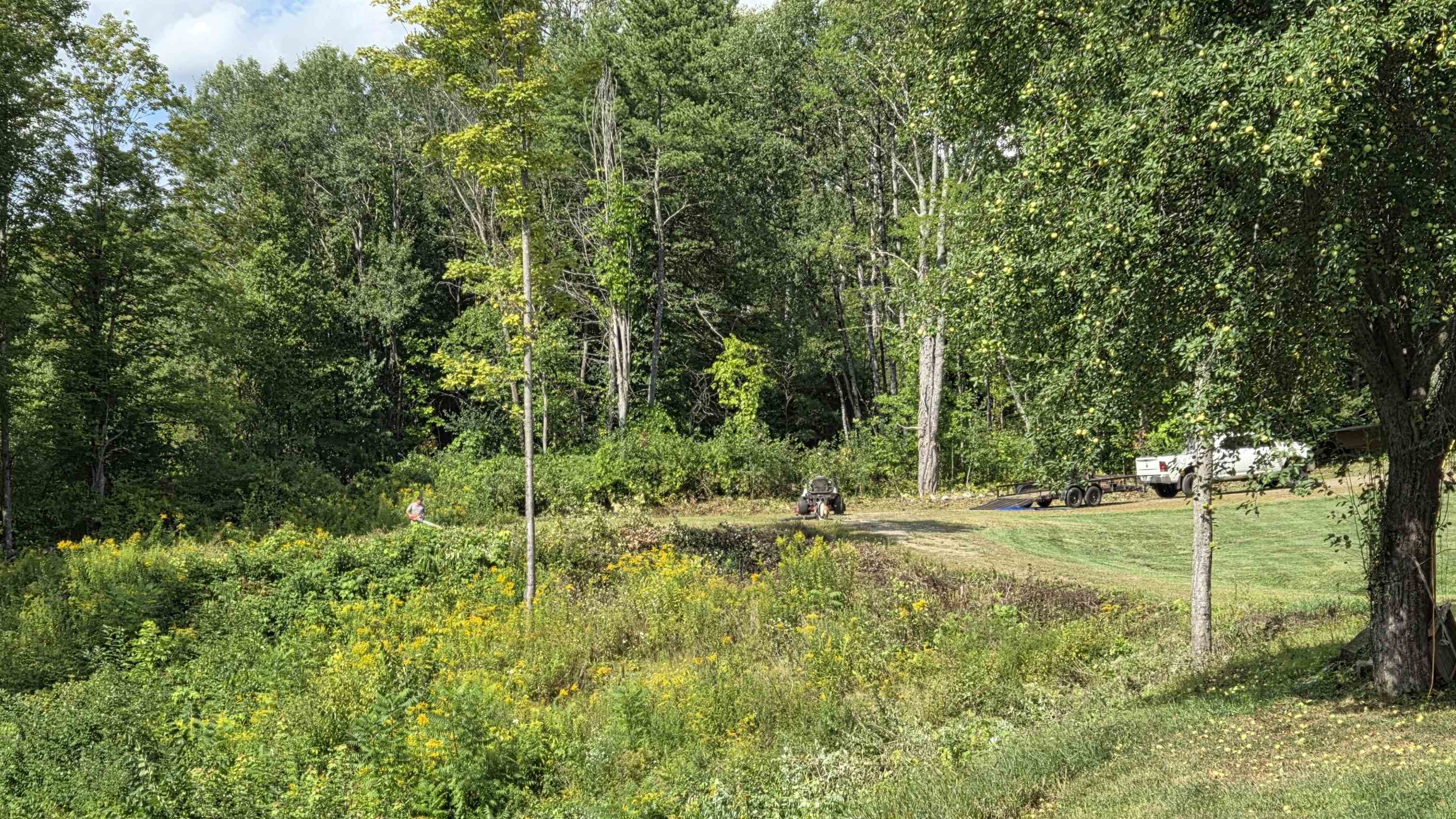 43 Cook Hill Road Alstead, NH 03602 - Photo 27 of 31 Gallery Image 27