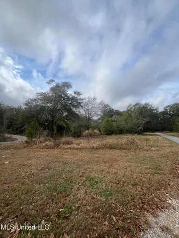 $30,000 | Tba Rolling Woods Drive, Lucedale, MS 39452
