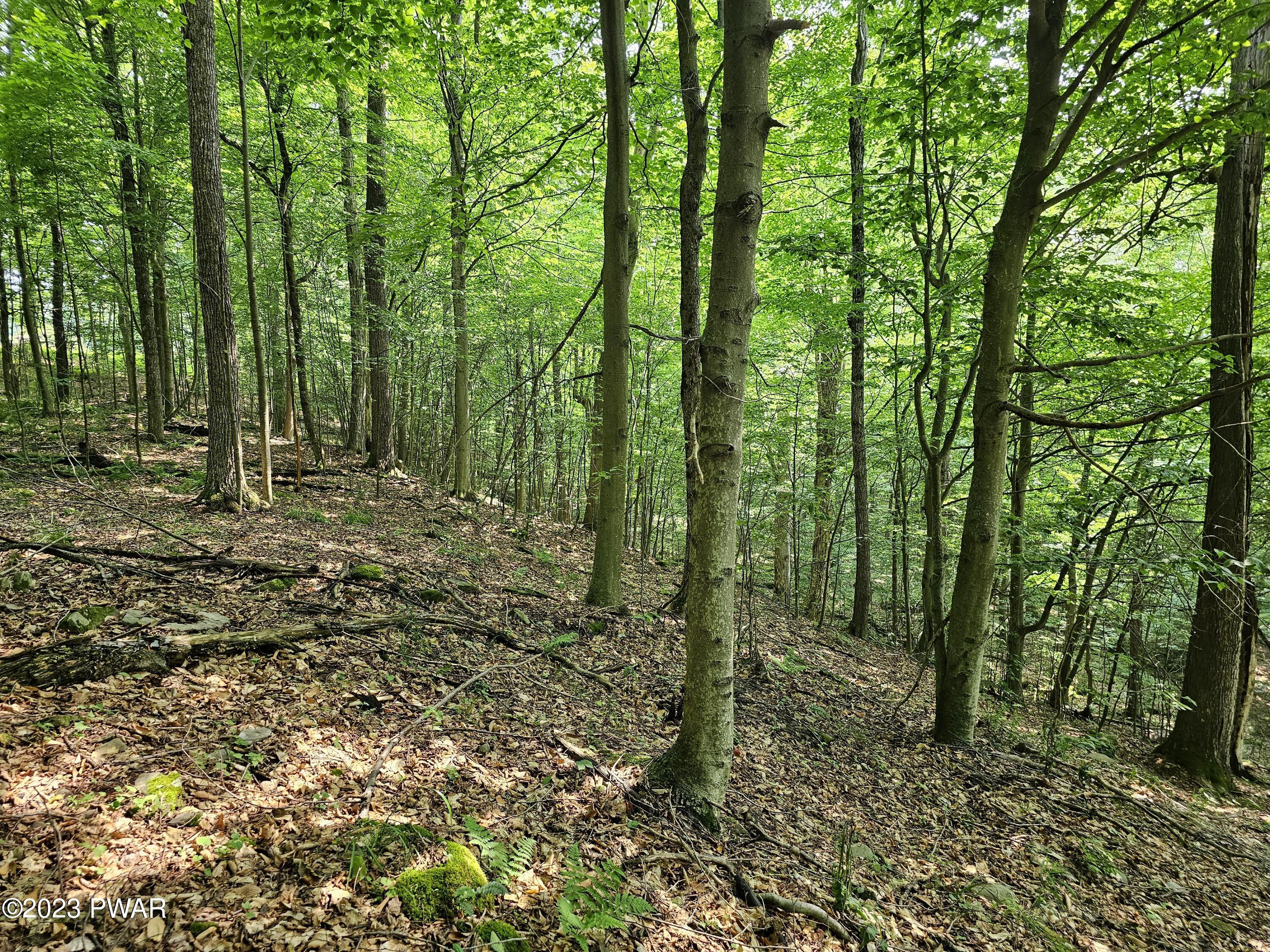 Lot 61 Rock Run Road Damascus, PA 18415 - Photo 13 of 56