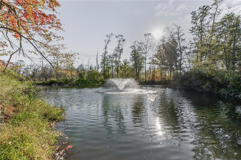 256 Alpine Heights Road Champion, PA 15622 - Photo 3 of 50 a view of water pond with lots of trees