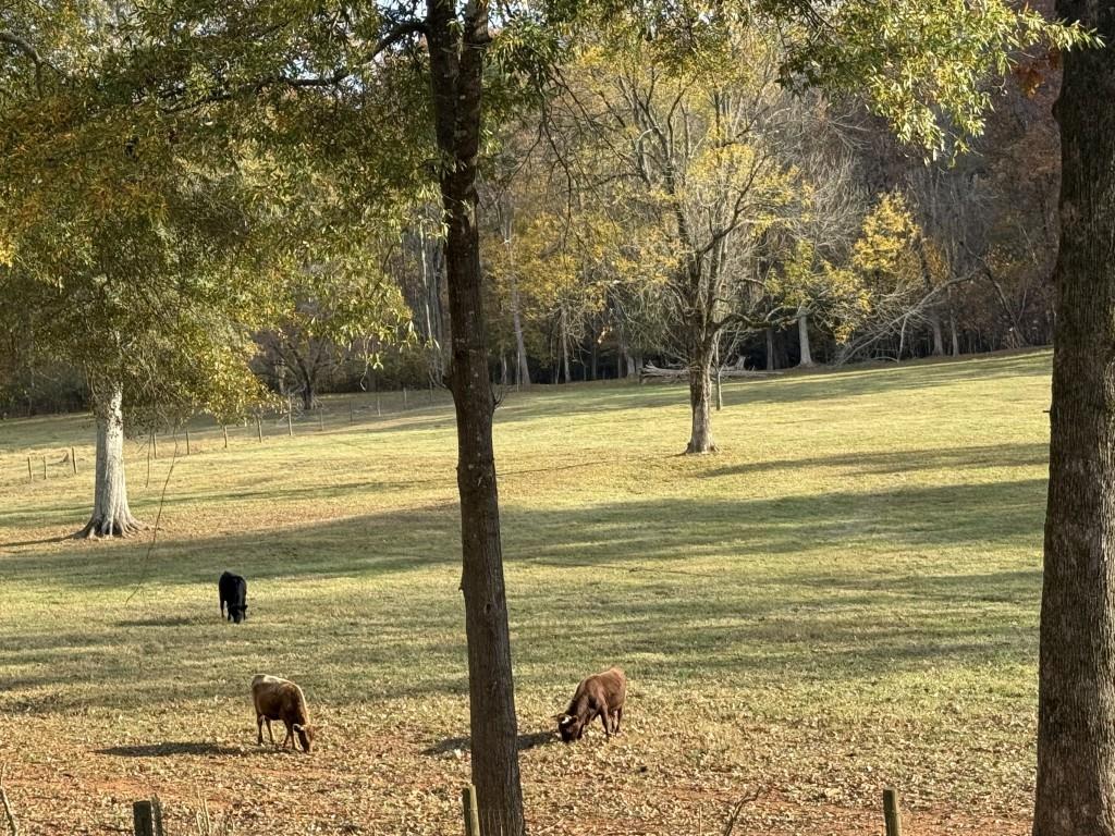 951 Canter Way Jefferson, GA 30549 - Photo 96 of 96