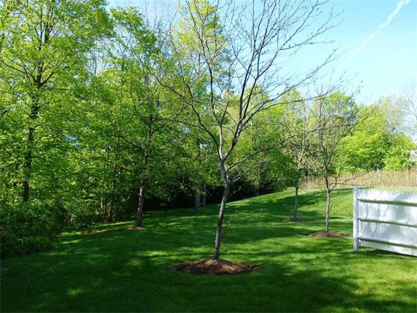 16 Leland Farm Road, Unit 16 Sherborn, MA 01770 - Photo 7 of 7 Gallery Image 7