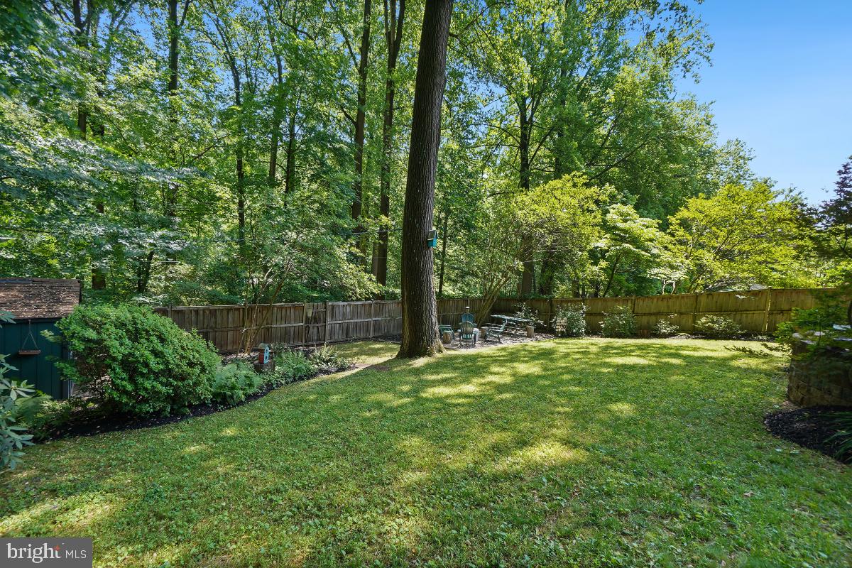 10709 Malone Street Silver Spring, MD 20902 - Photo 43 of 46 Gallery Image 43