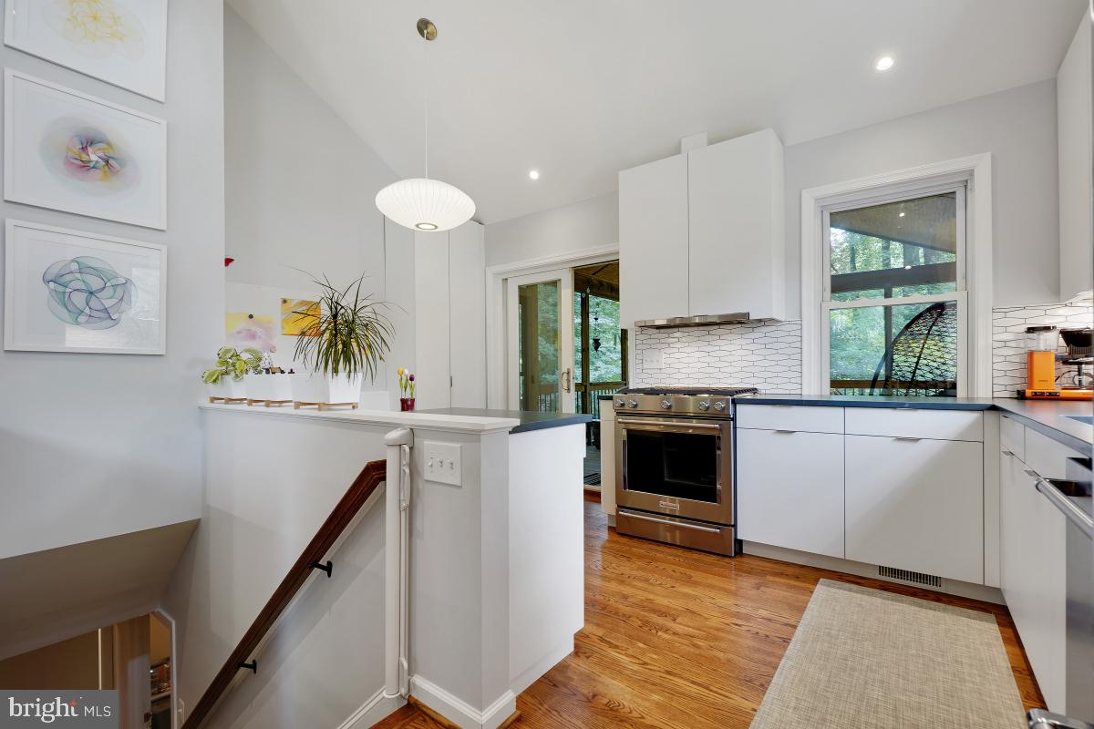 10709 Malone Street Silver Spring, MD 20902 - Photo 10 of 46 Gallery Image 10