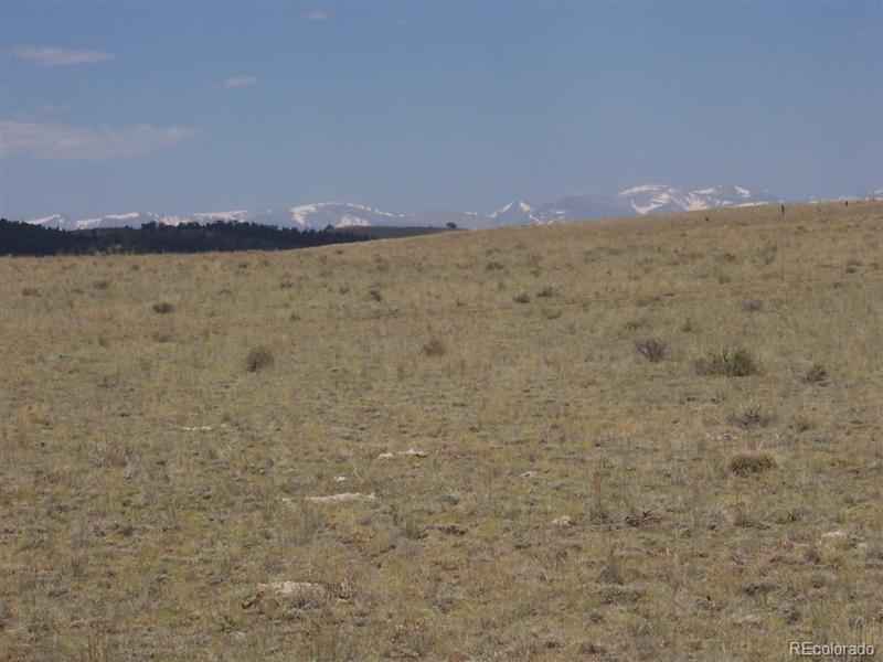 1786 Buffalo Ridge Road Como, CO 80456 - Photo 2 of 2 Gallery Image 2
