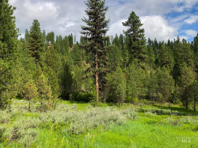 $398,000 | Tbd Meadow Creek Drive, Idaho City, ID 83631