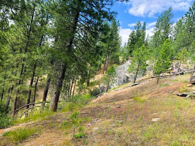 $398,000 | Tbd Meadow Creek Drive, Idaho City, ID 83631