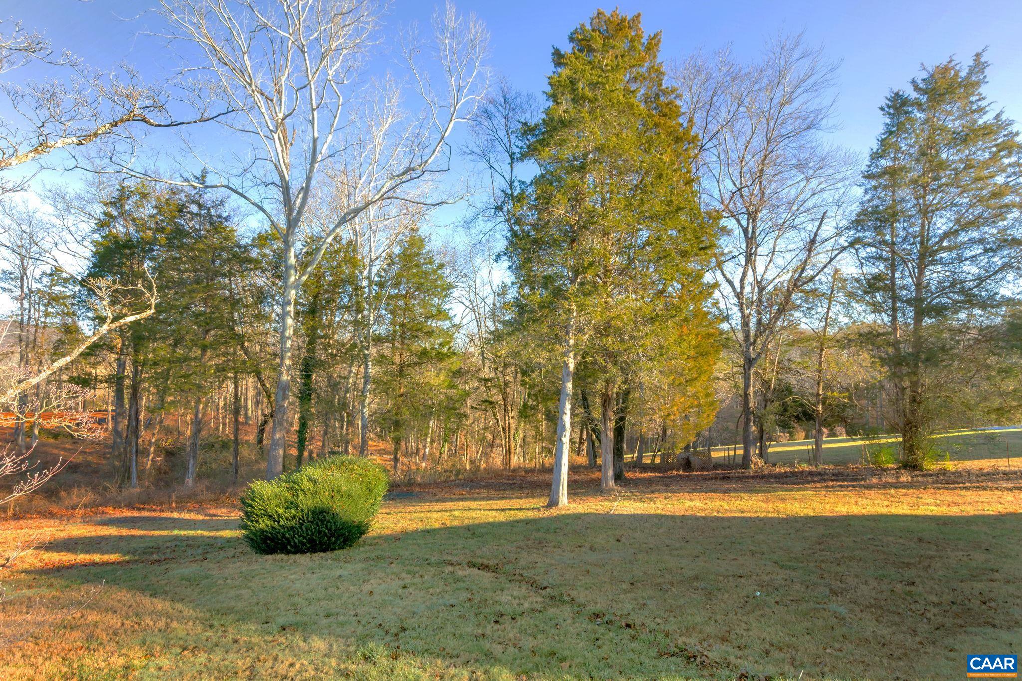 3432 Keswick Road Keswick, VA 22947 - Photo 58 of 60 a view of yard with tree