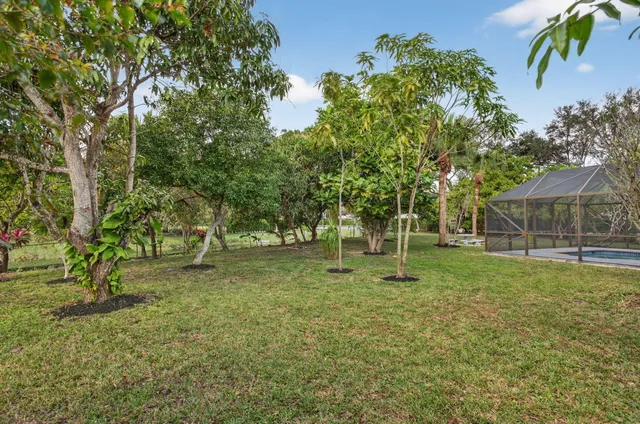 an aerial view of residential houses with outdoor space and trees