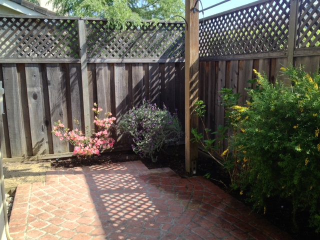 187 Redding Road Campbell, CA 95008 - Photo 11 of 24 a view of a pathway of a wooden fence