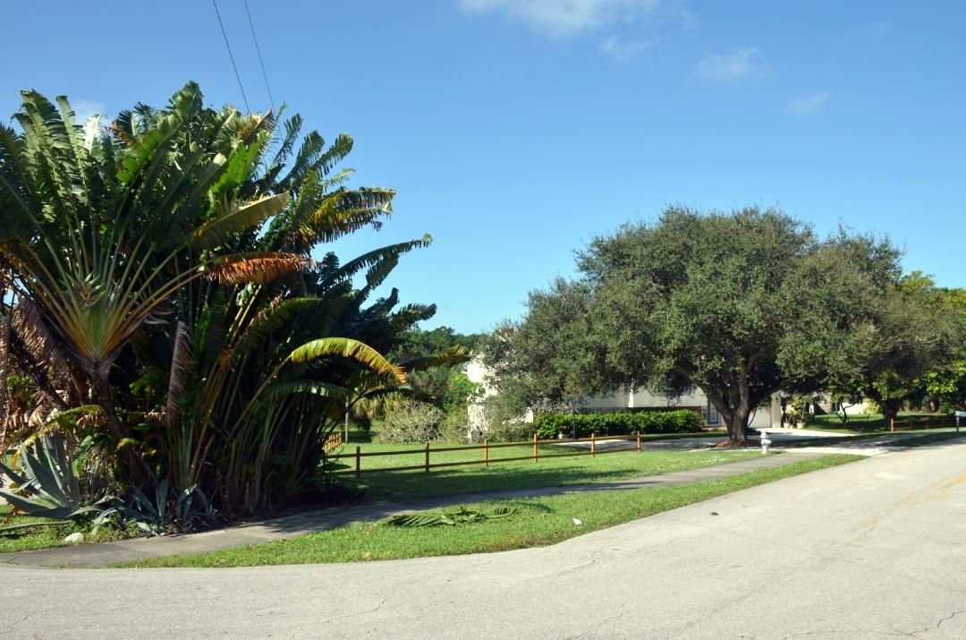 601 High Street Boca Raton, FL 33432 - Photo 47 of 142 DSC_1766