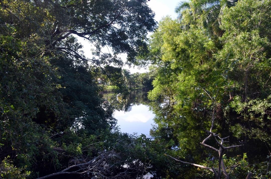 601 High Street Boca Raton, FL 33432 - Photo 5 of 142 DSC_1758