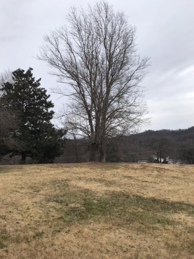 608 Balmoral Road Middlesboro, KY 40965 - Photo 2 of 3 608 Balmoral Rd.