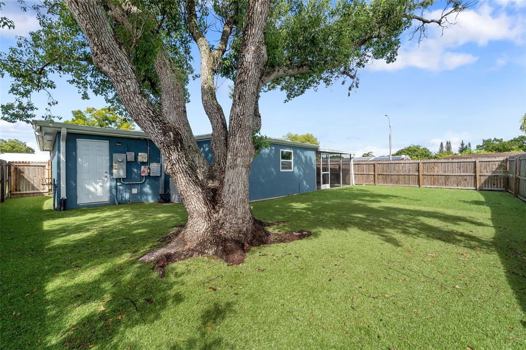4238 Glissade Drive New Port Richey, FL 34652 - Photo 42 of 62 a view of a house with a tree and a yard