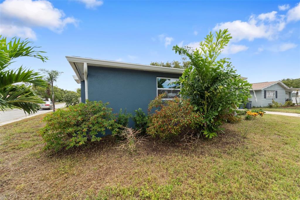 4238 Glissade Drive New Port Richey, FL 34652 - Photo 48 of 62 a yellow house with trees in front of it