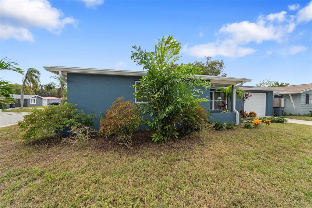 4238 Glissade Drive New Port Richey, FL 34652 - Photo 49 of 62