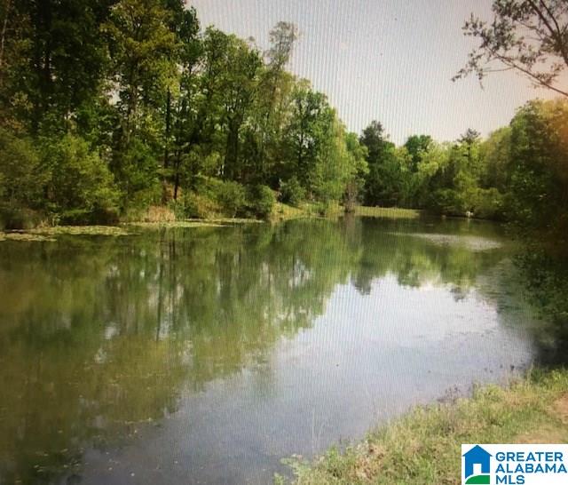 447 Sunset Lake Circle Chelsea, AL 35043 - Photo 16 of 44