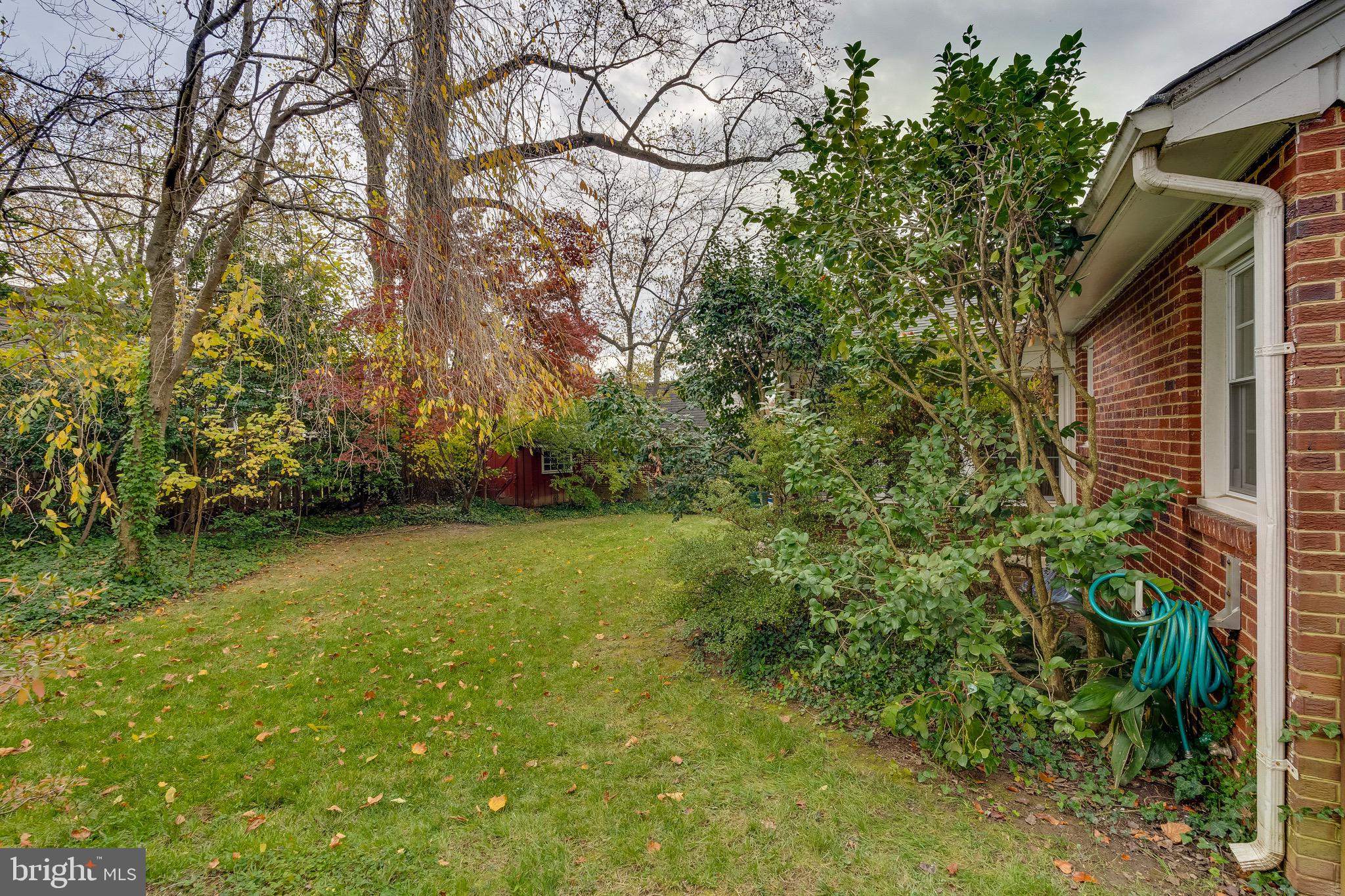 10001 Portland Road Silver Spring, MD 20901 - Photo 4 of 42 Level backyard with mature plantings