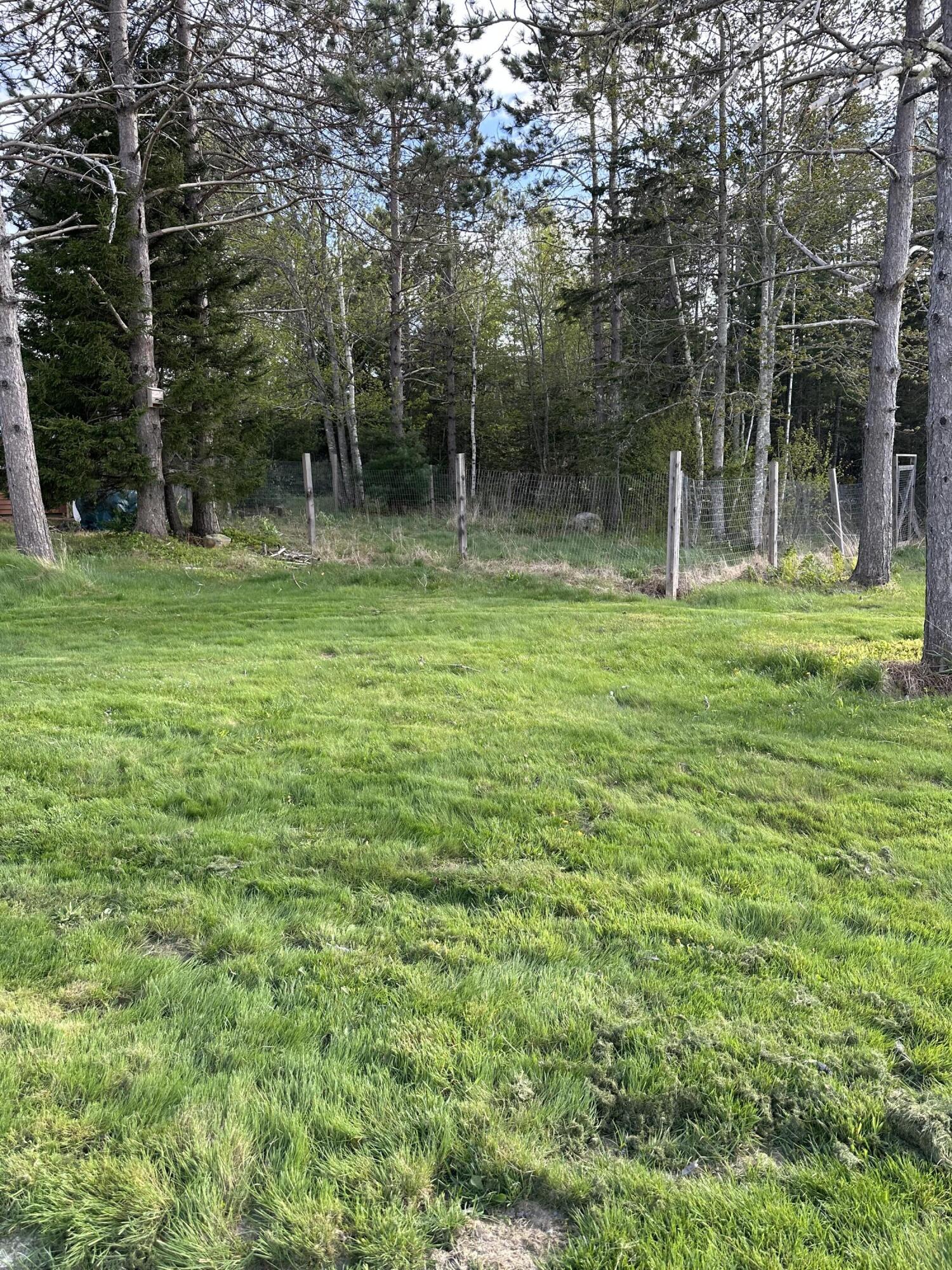 152 Centerville Road Columbia Falls, ME 04623 - Photo 15 of 16 IMG_6926