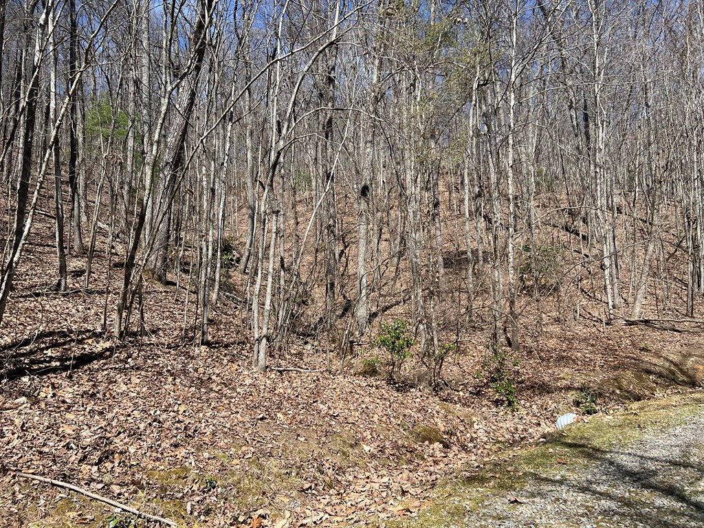 Lots Wolf Mountain Road Murphy, NC 28906 - Photo 19 of 27