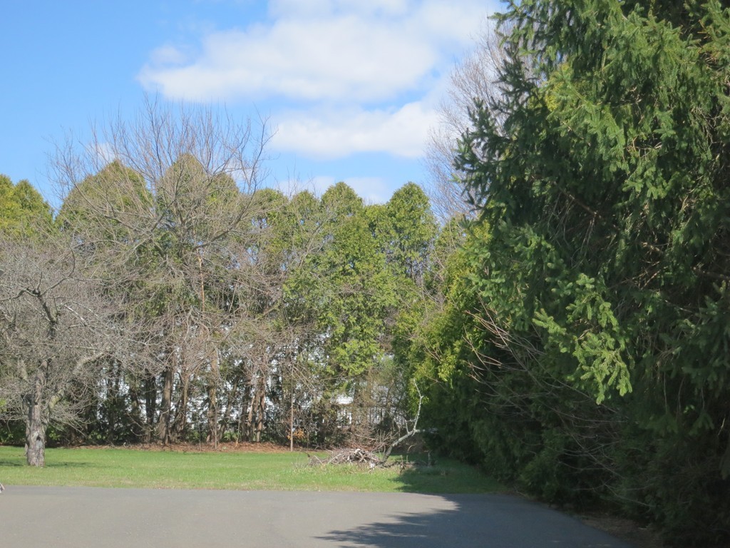 670 Morgan Road West Springfield, MA 01089 - Photo 23 of 28