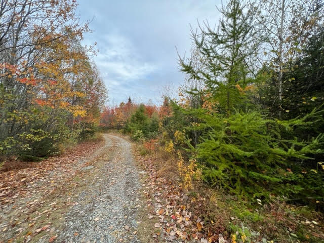 Lot 27-27 Lively Brook Road Lubec, ME 04652 - Photo 3 of 11 unnamed copy