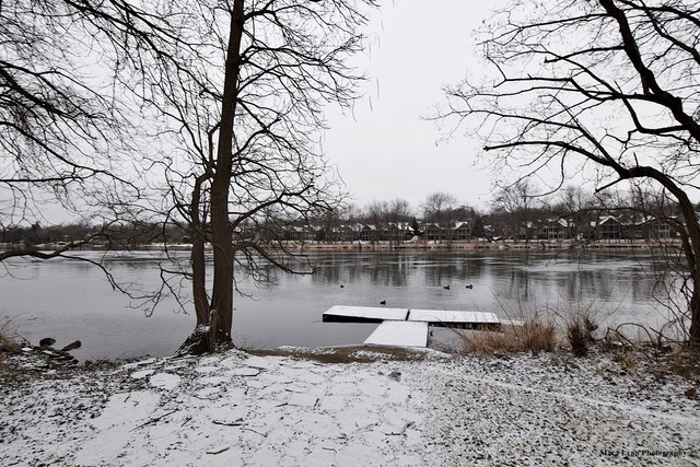 1615 Riverside Avenue St. Charles, IL 60174 - Photo 4 of 25