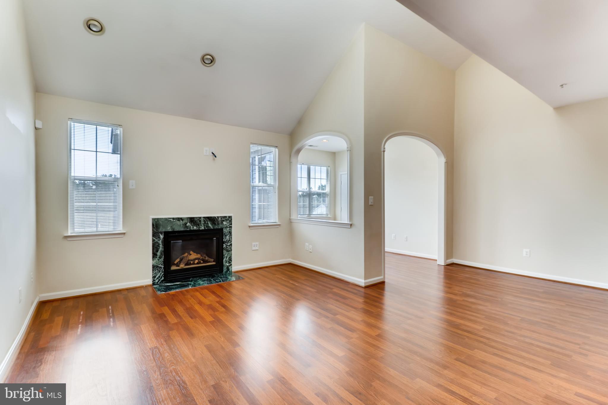 25 Hawk Rise Lane, Unit 303 Owings Mills, MD 21117 - Photo 8 of 27 Living room with fireplace