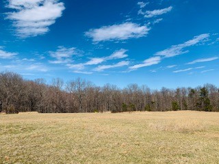 607 Open Range Road Spencer, TN 38585 - Photo 2 of 6 a view of mountain view with lots of trees