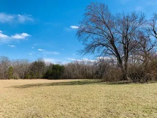 a view of mountain view with trees