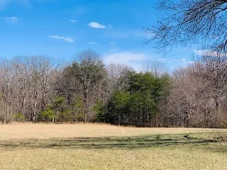 a view of a yard covered with snow