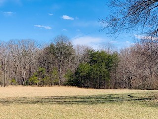 607 Open Range Road Spencer, TN 38585 - Photo 4 of 6