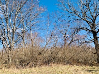 607 Open Range Road Spencer, TN 38585 - Photo 6 of 6 a backyard of a house