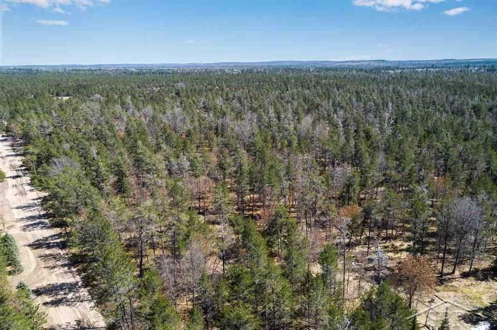 Vl South Whirlpool Road Grayling, MI 49738 - Photo 4 of 21 Gallery Image 4