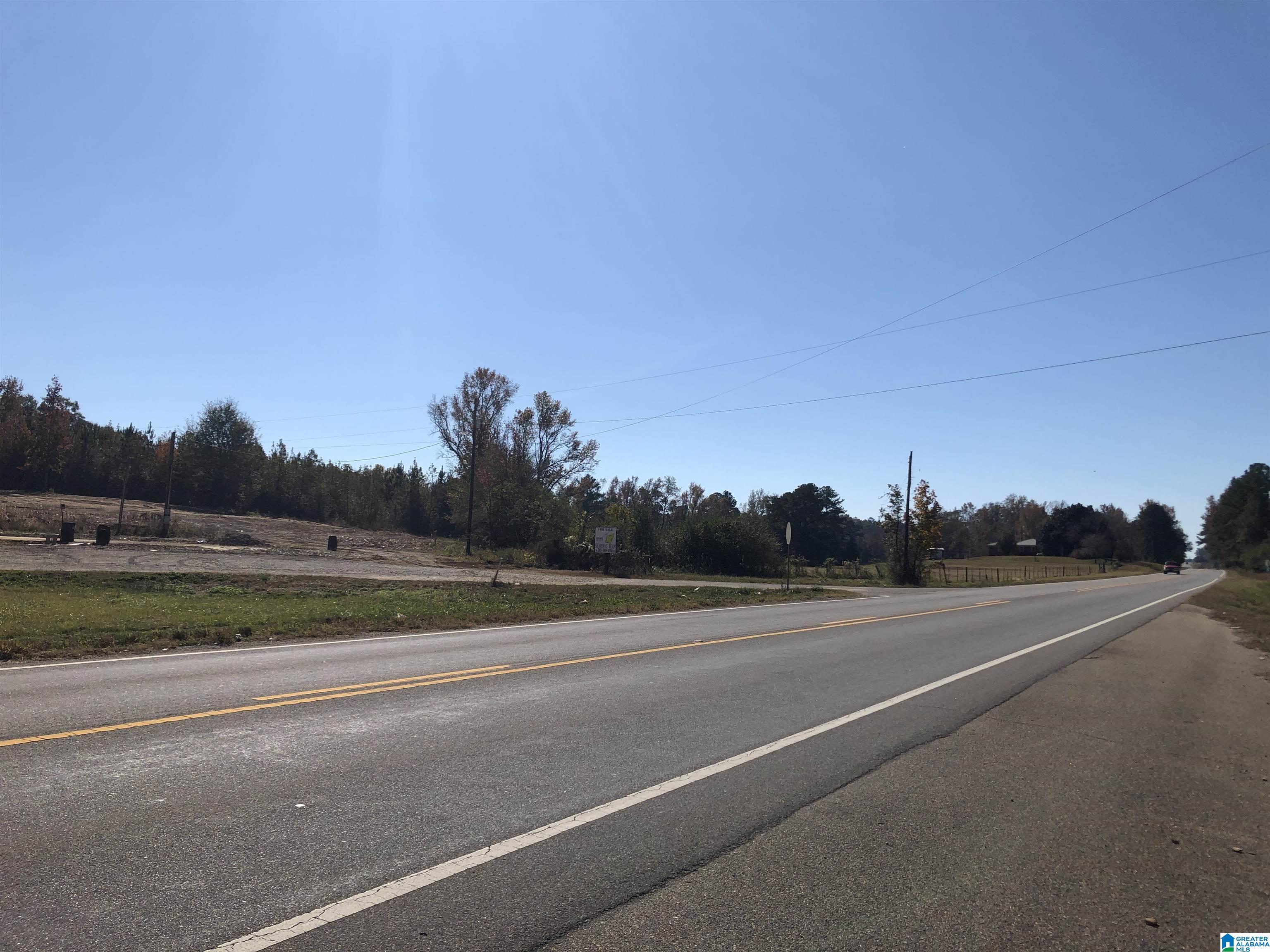0 County Road 453, Unit 1 Clanton, AL 35046 - Photo 3 of 4