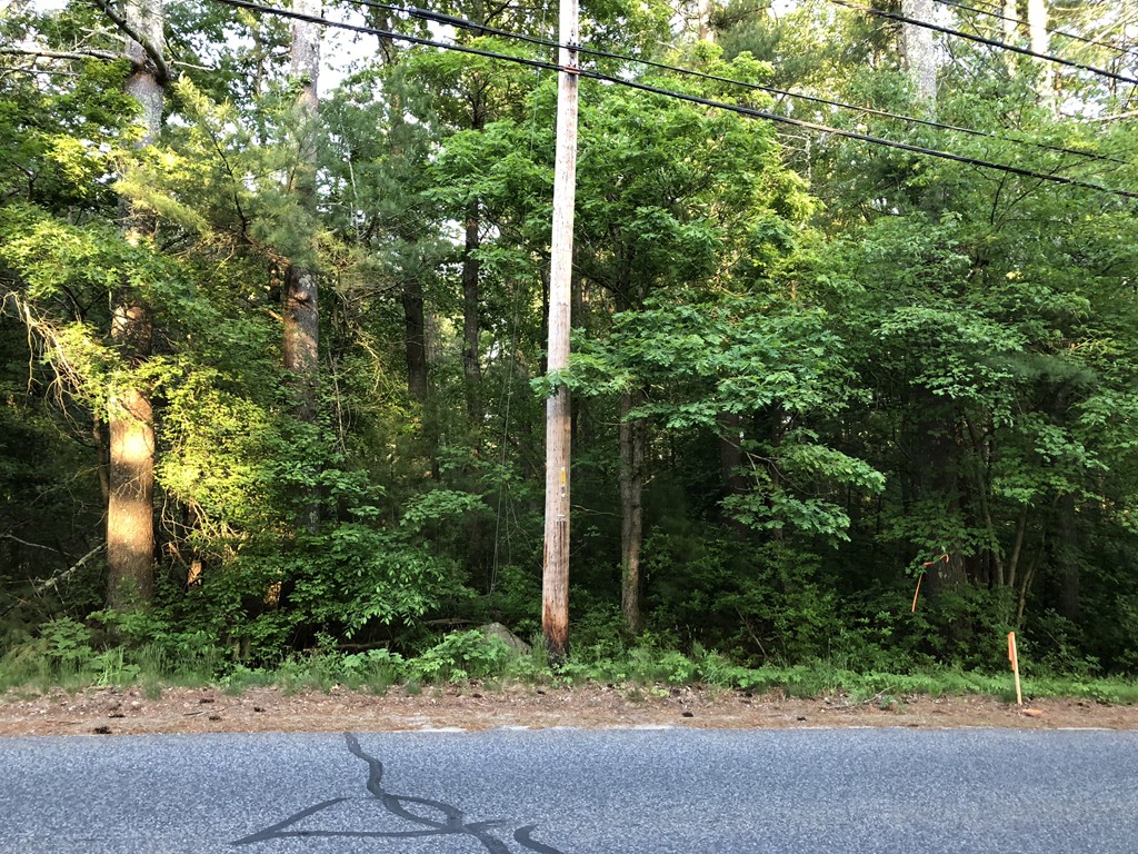 46 East Howland Road Freetown, MA 02717 - Photo 2 of 3 a view of a pathway with a tree