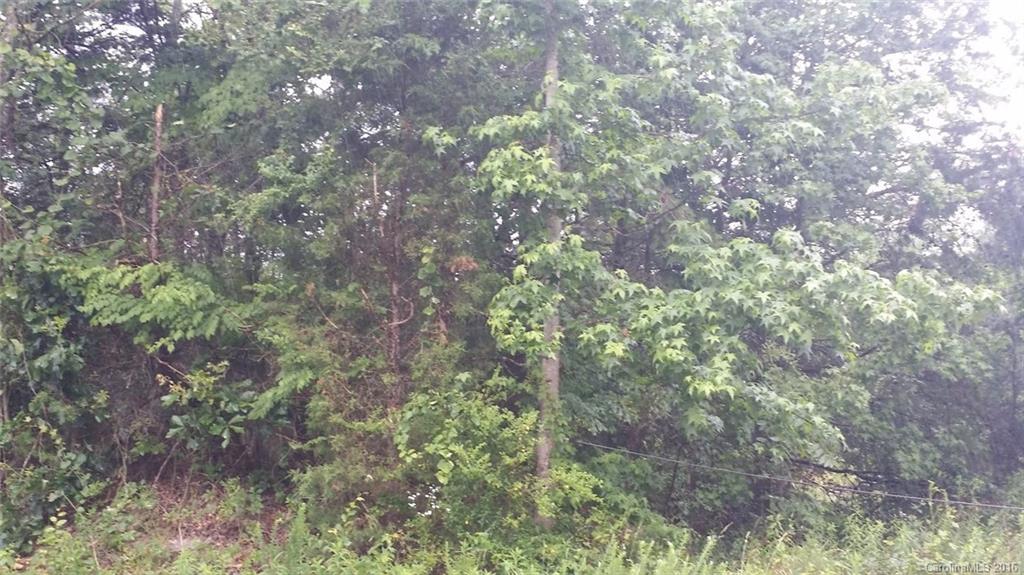 1111 North Beersheba Road Clover, SC 29710 - Photo 1 of 6