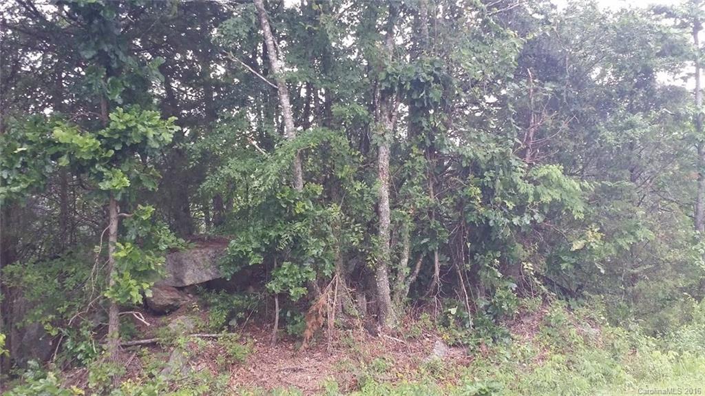 1111 North Beersheba Road Clover, SC 29710 - Photo 3 of 6 a view of forest
