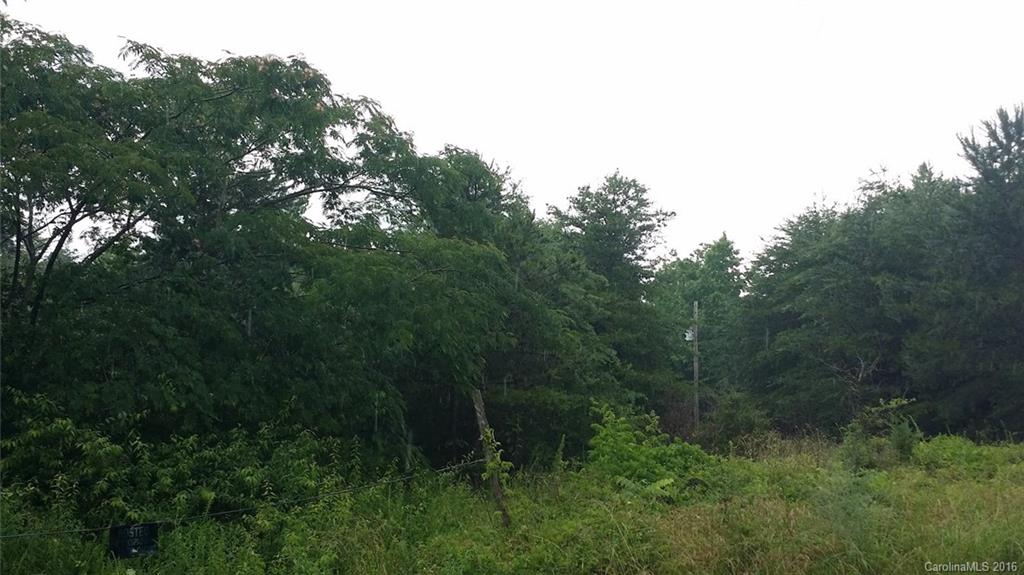 1111 North Beersheba Road Clover, SC 29710 - Photo 6 of 6 a view of a lush green forest with lots of trees