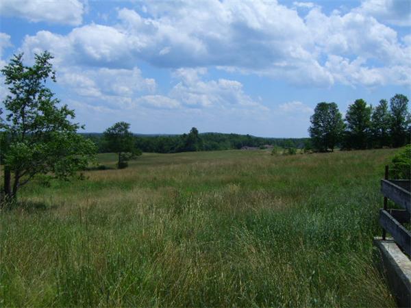Lot 142 Hale Road Hubbardston, MA 01452 - Photo 6 of 19 Gallery Image 6