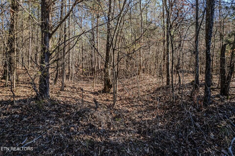 5 South NoPone Vly Road Athens, TN 37303 - Photo 10 of 12
