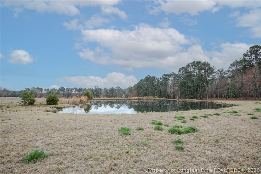 480 Blakely Road Sanford, NC 27332 - Photo 47 of 50 Gallery Image 47