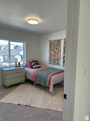 7927 Bristlecone Road, Unit 204 Eagle Mountain, UT 84005 - Photo 9 of 19 Bedroom featuring a textured ceiling and light colored carpet