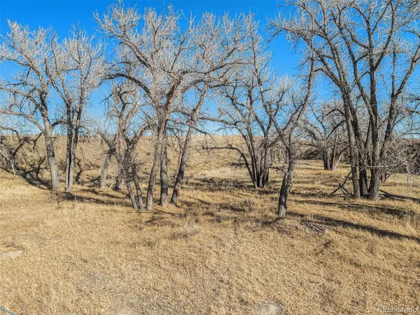 a view of snow on the road